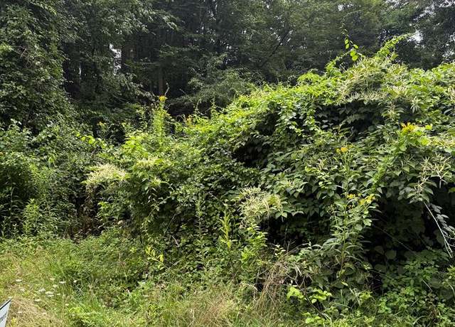Property at TBD Rabbit Hollow Ln Unit N/A, Fries, VA 24330