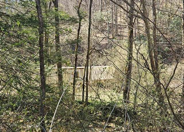 Property at 3687 Old Kentucky Turnpike Rd #19, Raven, VA 24639