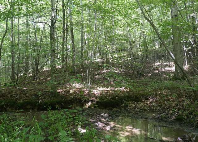 Property at TBD State Route 606 #0, Pennington Gap, VA 24265