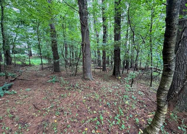 Property at TBD Rosebud Ln #31, Hillsville, VA 24343