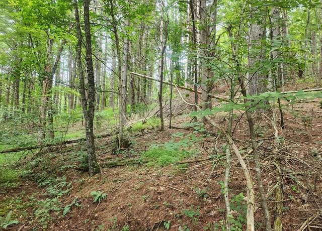 Property at TBD Old Bridle Creek Rd Unit 49-A-56, Independence, VA 24348