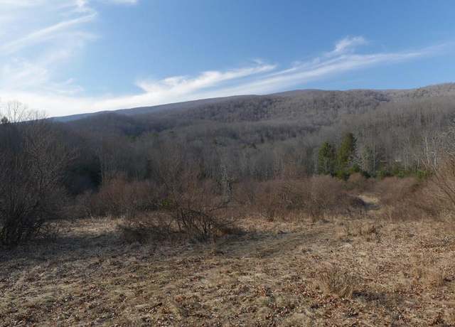 Property at TBD Poor Valley Rd Unit 118-A-9, Ceres, VA 24318
