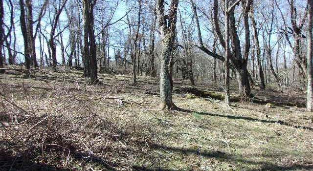 Photo of TBD Spring Valley Rd Unit 2B, Elk Creek, VA 24326