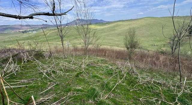 Photo of Lot 11 Whispering Pines Rd #11, Max Meadows, VA 24360