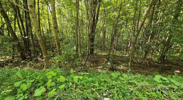 Photo of 13.51 AC Cartwright Rd Unit None, Rowe, VA 24646