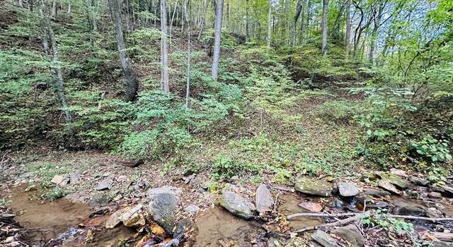 Photo of TBD Seven Spgs #95, Ararat, VA 24328