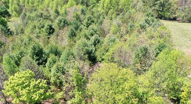 Photo of TBD Buckwoods #22, Woodlawn, VA 24381