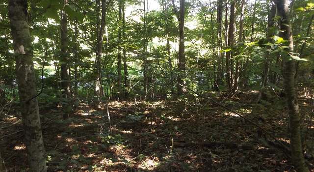 Photo of TBD Raindrop Rd #1, Fancy Gap, VA 24328