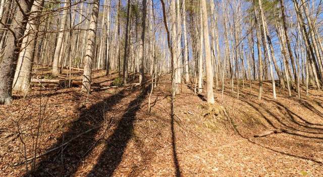 Photo of T6 & T 7 North Ledge Trl Unit T6 & T7, Fancy Gap, VA 24328