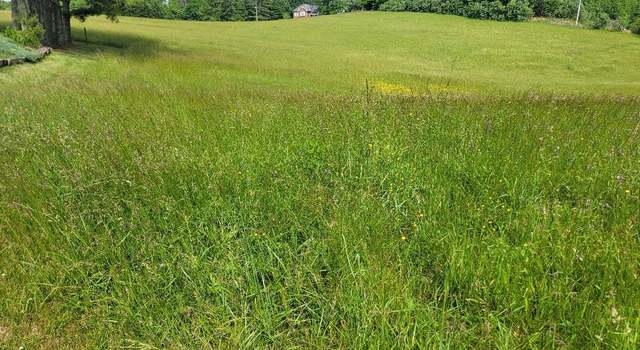 Photo of TBD Carsonville Rd Unit N/A, Independence, VA 24348