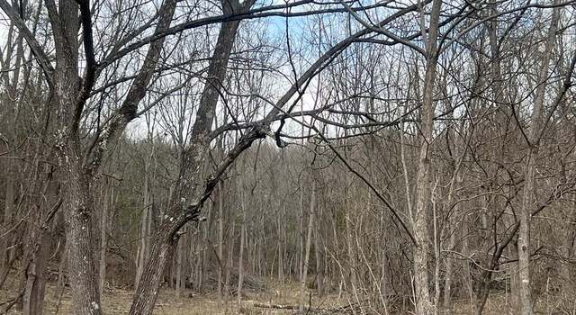 Photo of 1717 Swecker Town Rd #72, Barren Springs, VA 24313