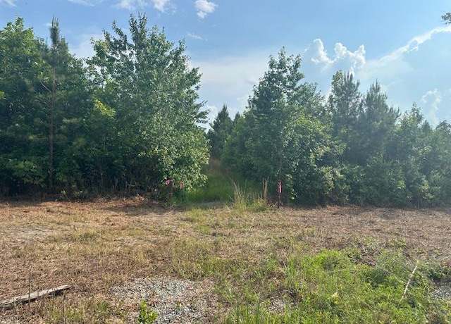 Property at 10.25 AC Rock Spring Rd, Center Cross, VA 22437