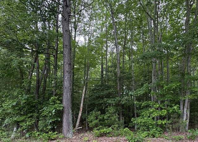 Property at 43-1002A Bogey Neck Rd, Heathsville, VA 22473