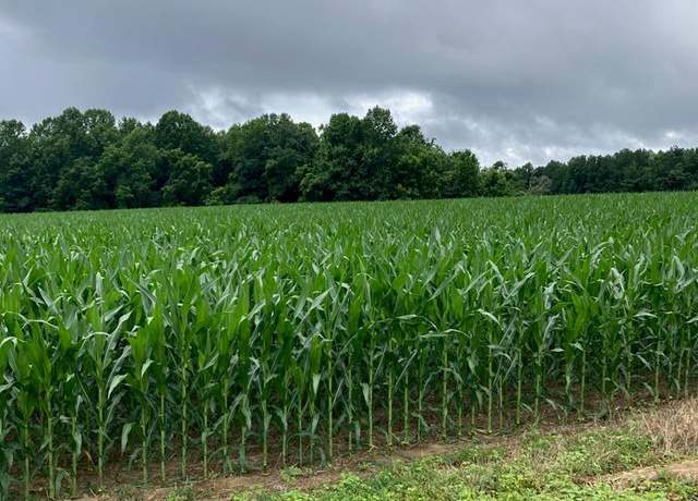 Property at 12592 Northumberland Hwy, Heathsville, VA 22473