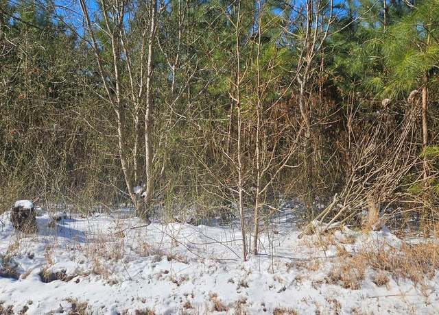 Property at 2.5 AC Blundon Rd, Reedville, VA 22539