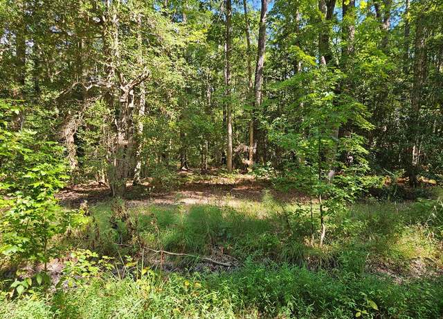 Property at 0 Hazel Dr, Hague, VA 22469