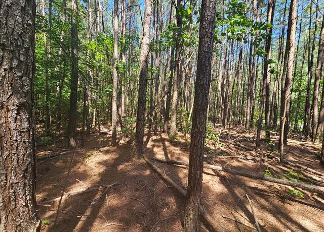 Property at Lot 41 Stoneman Ln, Heathsville, VA 22473