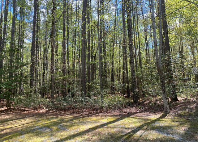 Property at 46 Eagles Trce, Lancaster, VA 22503