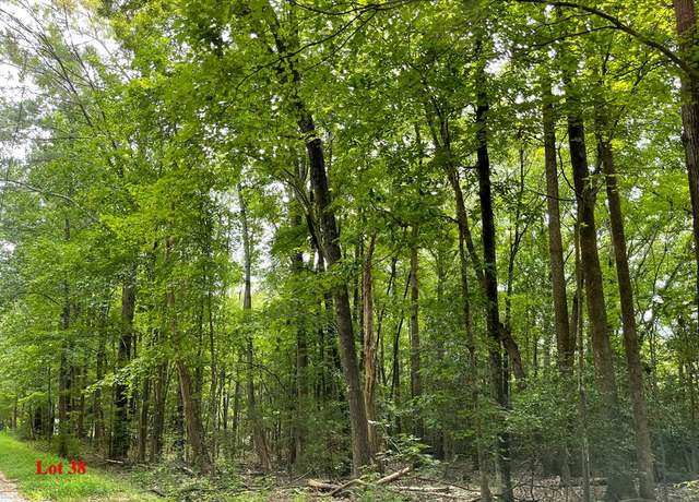 Property at Lot 38 Wicomico Dr, Heathsville, VA 22473