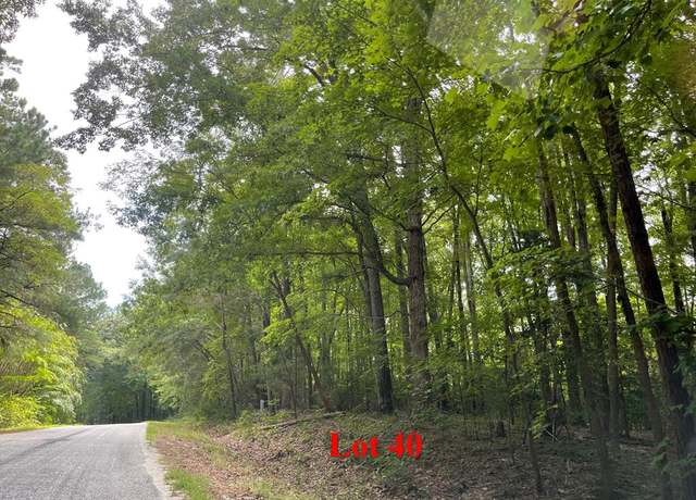 Property at Lot 40 Wicomico Dr, Heathsville, VA 22473