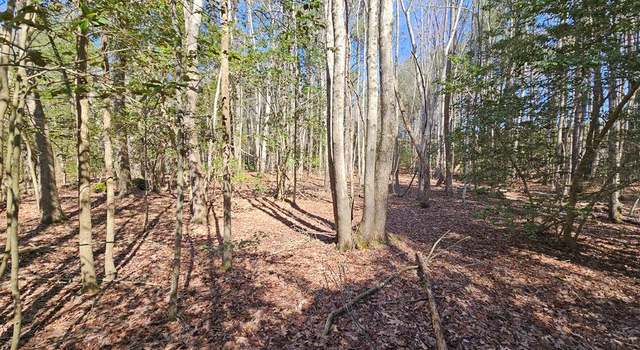 Photo of 0.747 AC Mothershead Neck Rd, Farnham, VA 22460