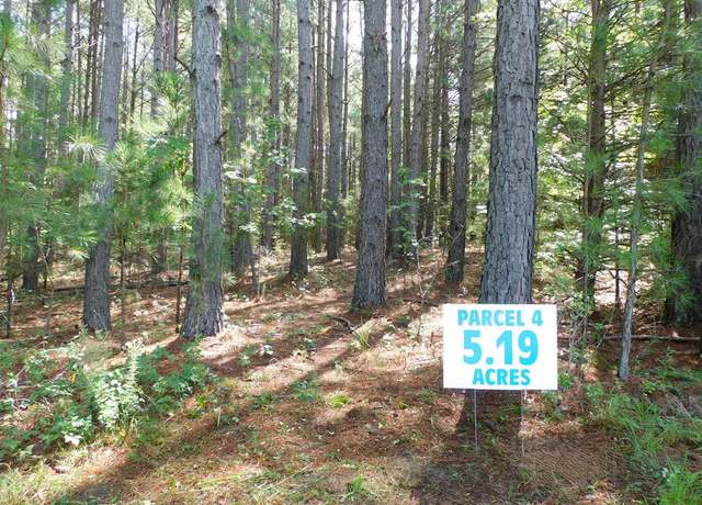 Property at 5.19 AC Felix Rd, Nathalie, VA 24577