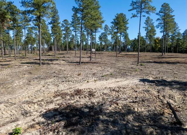 Property at 1.20 AC Millville Rd, Lawrenceville, VA 23868