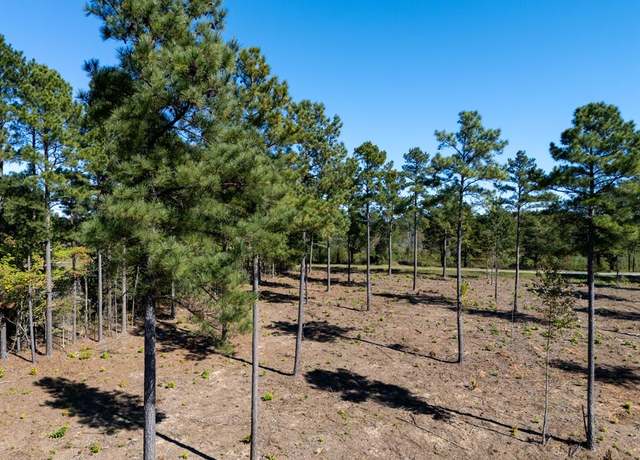 Property at 1.1 AC Christanna Hwy, Lawrenceville, VA 23868