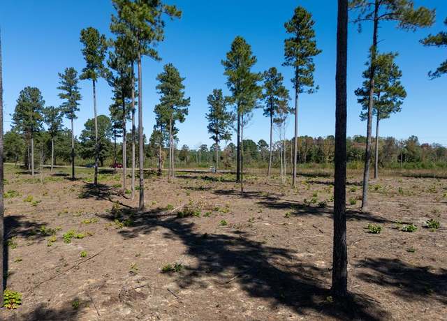 Property at 1.04 AC Christanna Hwy, Lawrenceville, VA 23868