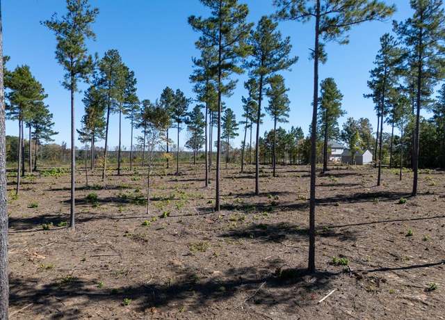Property at 1.02 AC Christanna Hwy, Lawrenceville, VA 23868