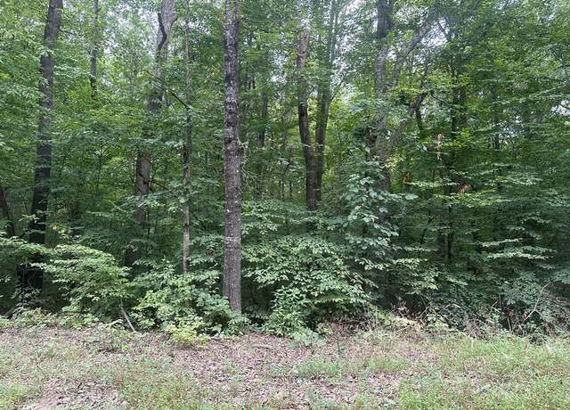Property at 1.2 Acs Roanoke Dr, Clarksville, VA 23927