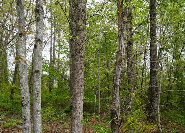 Property at Walker Rd, Brookneal, VA 24528