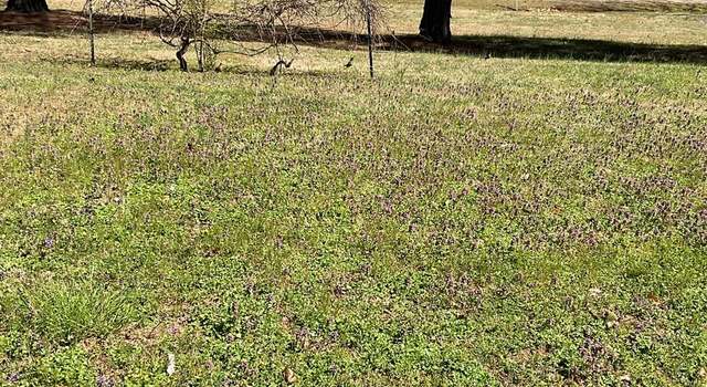 Photo of Gregory Ave, Chase City, VA 23924
