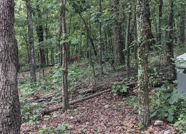 Property at 7177 9 Mile Ridge Road Rd, Hardy, AR 72542