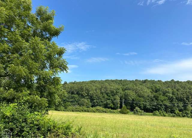 Property at 1 Denton Ferry Rd, Flippin, AR 72626