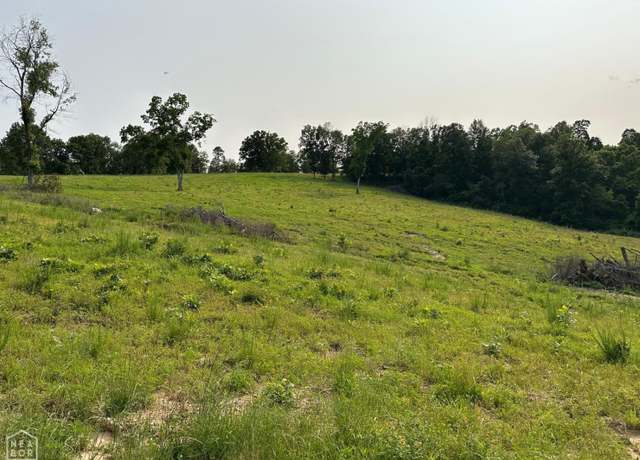 Property at 1 MC 5014, Yellville, AR 72633