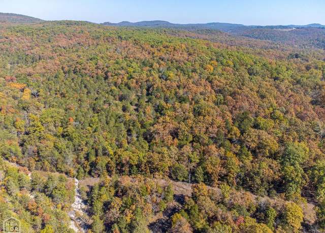 Property at 40 Acres MC 113 Rd, Oakland, AR 72661