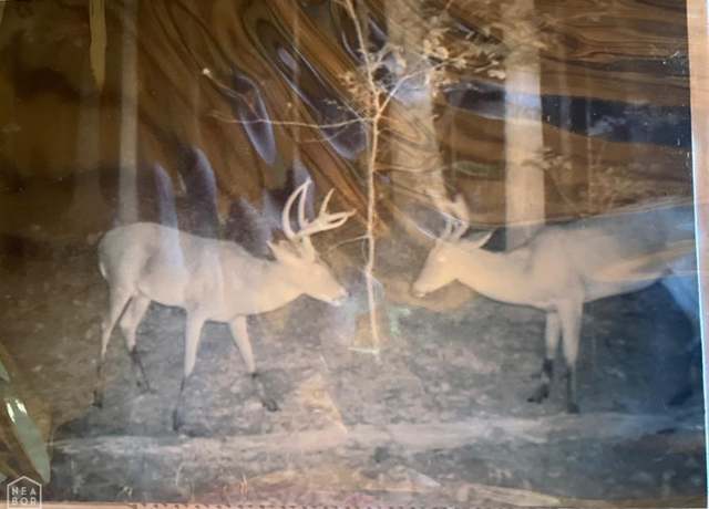Property at 2933 Highway 163, Cherry Valley, AR 72324