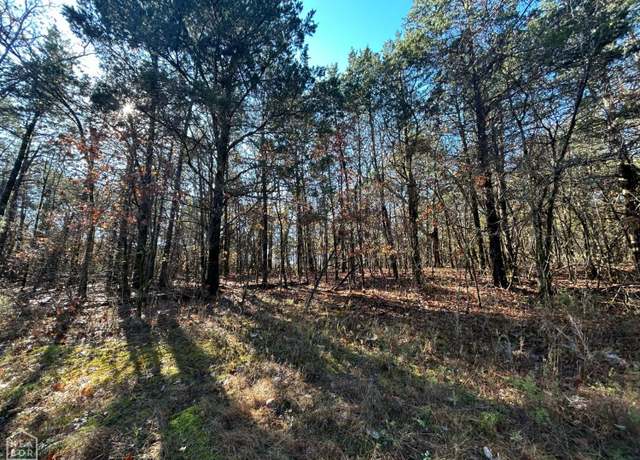 Property at 20 Acres Persimmon Point Rd, Lead Hill, AR 72644