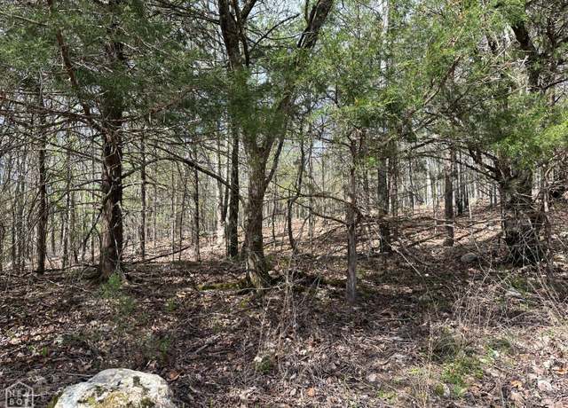 Property at 1 Off Dovewood Ln, Flippin, AR 72634