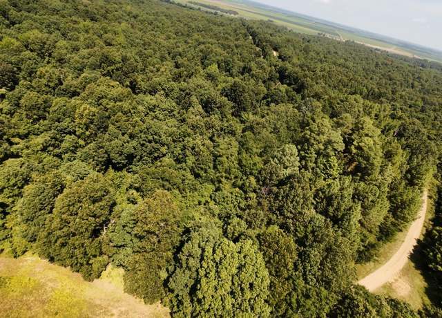 Property at 2 CR 449 Rd, Pollard, AR 72456
