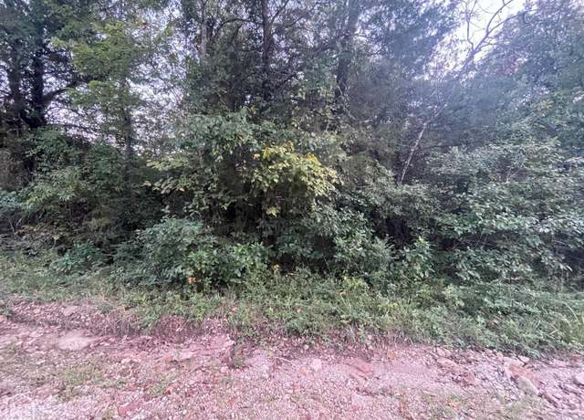 Property at 1 Canary Ln, Lead Hill, AR 72630