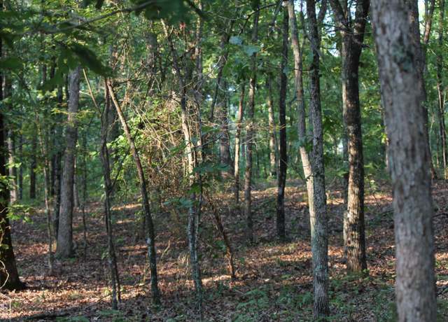 Property at 0 Knob Creek Rd, Melbourne, AR 72556
