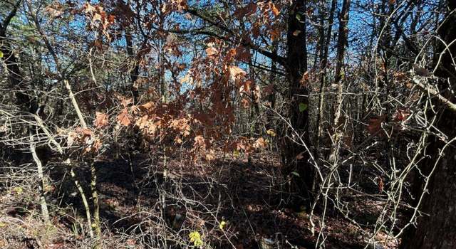 Photo of 20 Acres Persimmon Point Rd, Lead Hill, AR 72644