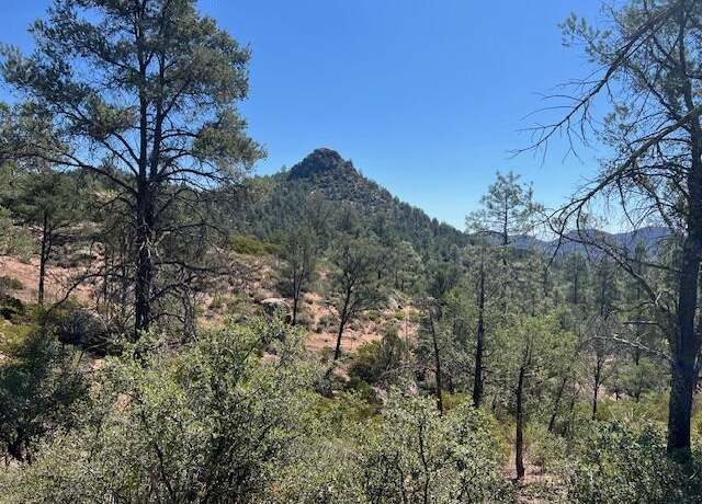 Property at 901 S Monument Valley Vly, Payson, AZ 85541