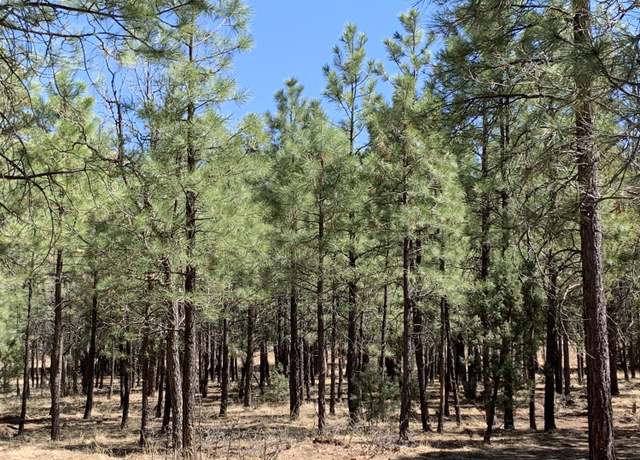 Property at 4394 Jack Pine Pl, Happy Jack, AZ 86024