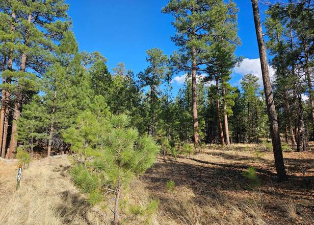 Property at 1967 Sugar Pine Dr, Happy Jack, AZ 86024