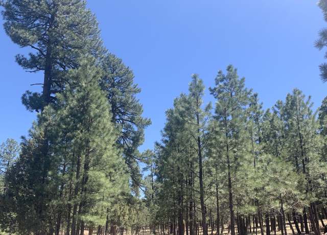 Property at 2100 San Juan Dr, Happy Jack, AZ 86024