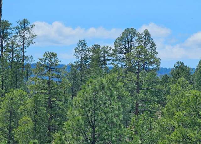 Property at 830 Elk Ridge Dr, Happy Jack, AZ 86024