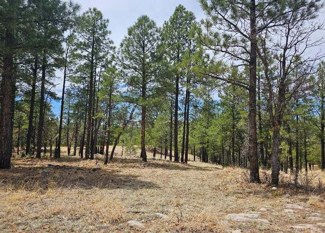 Property at 830 Elk Ridge Dr, Happy Jack, AZ 86024